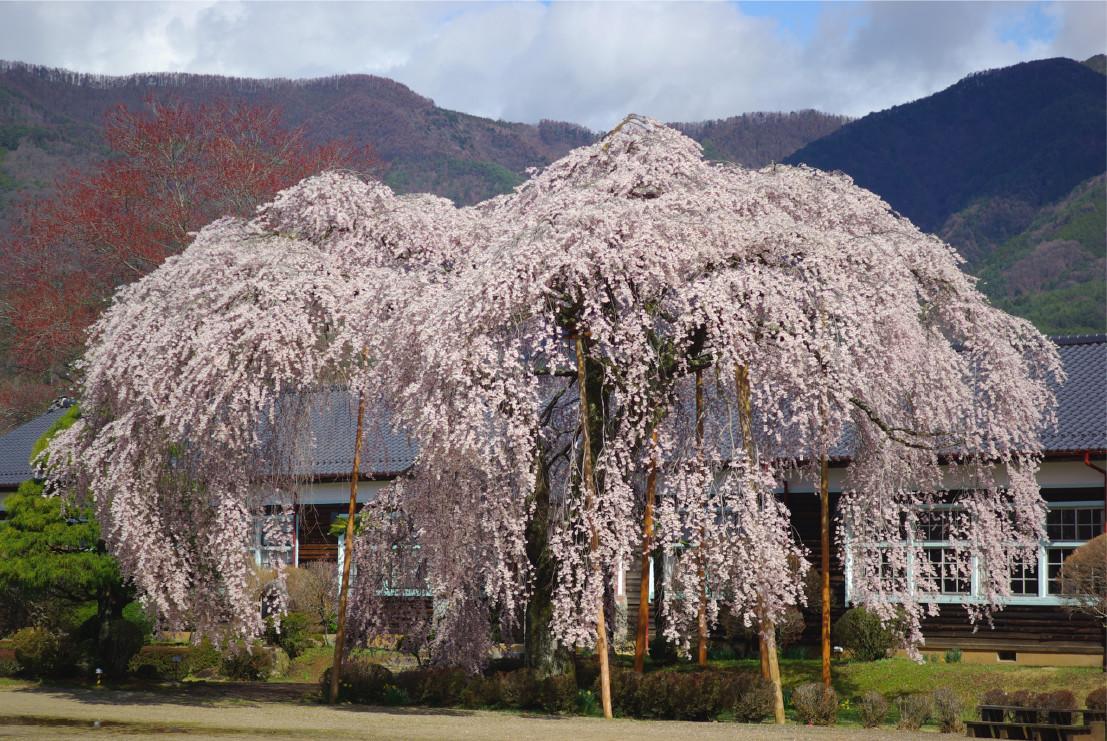 Ryokan Ootaya Iida Exterior foto